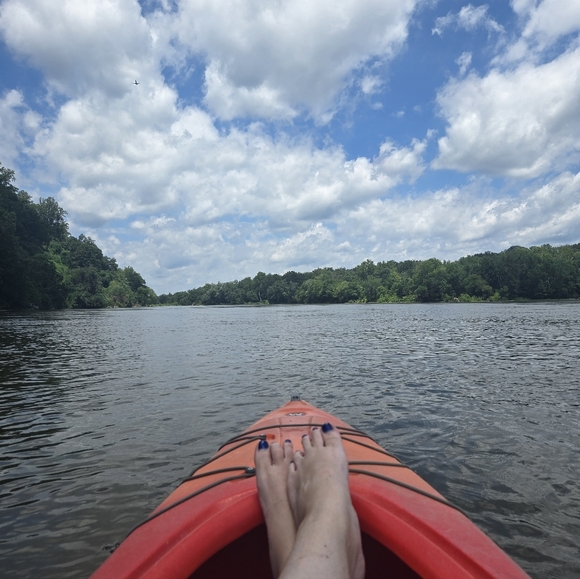 Meet your Posher, Joanna - Picture 5 of 5